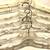 Clear White Hangers Galaxy Products Set of 8 4 thumbnail