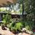 Garden plants and garden items for sale Saturday August 9 2 thumbnail