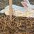 Rabbits 8 thumbnail