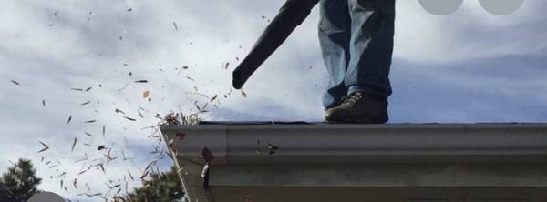 Gutter cleaning 1