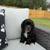 Akc American cocker spaniel puppy 2 thumbnail