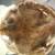 Hides and Fur 1 thumbnail