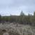 Buildable 32 Adjoining Acres East of Prineville Reservoir 6 thumbnail