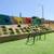 Dog Park, Pet Friendly, Microwave, Newly Renovated Interiors 6 thumbnail