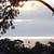 DRAMATIC OCEAN VIEWS~~FULLY FURNISHED~~SHORT/LONG TERMS~~VIEW PATIO~~ 12 thumbnail