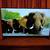 50inch SCEPTRE Non Smart TV 3 thumbnail