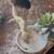 Leopard gecko - mac snow female 7 thumbnail