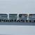 2023 RAM ProMaster 2500 136 WB 3dr Low Roof Cargo Van WE SHIP CALIFORNIA CARS AN 16 thumbnail