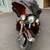 2011 HD Electra Glide Ultra Limited 2 thumbnail