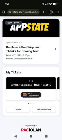 Rainbow Kitten Surprise RKS - 1 Ticket 1