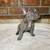 Available for Forever Homes 3 thumbnail