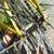 Vintage Schwinn Heavy Duty Men's Bicycle 13 thumbnail