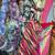 Fabrics 6 thumbnail