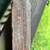 Antique corn planter 4 thumbnail