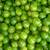 Mexican Lime Key Lime tree for sale Organic 16 thumbnail