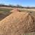 Washed Concrete Sand for Arenas/Roundpens- $26.95 per ton + Delivery 1 thumbnail