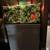 Octopus aquarium ( fish tank ) 45 gal with stand 3 thumbnail