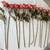 Artificial Roses Stems Flowers, Flores DIY, Home Decor, Wedding, Boda Rosas 2 thumbnail