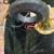 🎺 Call in the DOGS w/Stagg Mini Hunting Horn 📯 2 thumbnail