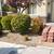 Tree service and Yard clean ups at the BEST price! Monthly specials!!! 21 thumbnail