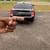 2015 Chrysler 300 RWD 160,000 Miles Daily Driver 5 thumbnail