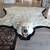 Polar Bear Skin Rug for Barter 5 thumbnail