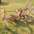 Horse drawn mowing machine 5 thumbnail