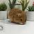 Hamsters 21 thumbnail