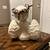 Decorative Sitting Angel - excellent condition 3 thumbnail