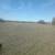 Clearing, mulching,treepulling, dirtwork. 19 thumbnail