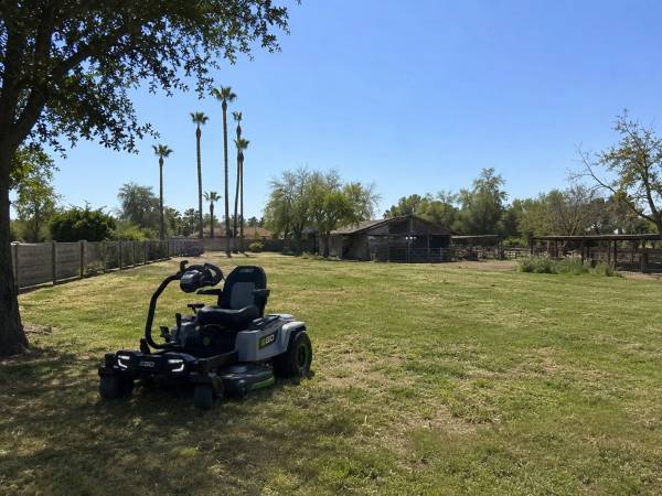 Large Yard Mowing • Weed Whacking • Brush Cleanup – Mesa 1