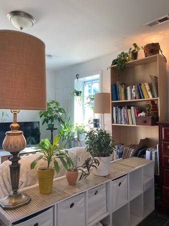 $350 / 580ft2 - LOvely, Spacious Studio(Fully Furnished) (Madison)64148843297538124