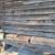 San Pedro Cactus, Succulents, plants, Bird houses, Plant boxes & more 20 thumbnail