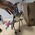 2 pc. Moen Eva  Faucets And Moen Chateau Chrome Single Handle Centerset Lavatory 13 thumbnail