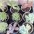 Huge Garage Sale Clothes , Plants , oil art work , Food Cans & more 2 thumbnail