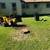 🌳🌲🏡Tree Service,Tree Removal,Stump Grinding,Tree Trimming 16 thumbnail