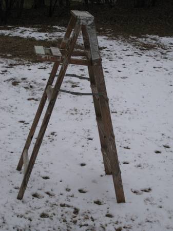 5 Ft. Ladder 1