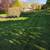 Aeration / Seeding / Top Dressing - Bring your lawn back to life! 3 thumbnail