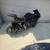 2008 honda cbr 4 thumbnail