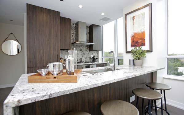 $3,436 / 2br - River North 2 Dormitorios/2 Baños, Balcón Piscina, Hidromasaje, Sauna, Gimnasio (River North)63960010782338123