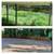 🍀LANDSCAPING 🏠 PROPERTY CLEANUP🗑️ JUNK REMOVAL 678)724-1969 2 thumbnail