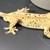 (M) Dalmation tiger crested gecko 4 thumbnail