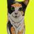Like NEW Vtg 2001 CATS BY NINA Handpainted Calico Tabby 8" Vase Plante 12 thumbnail
