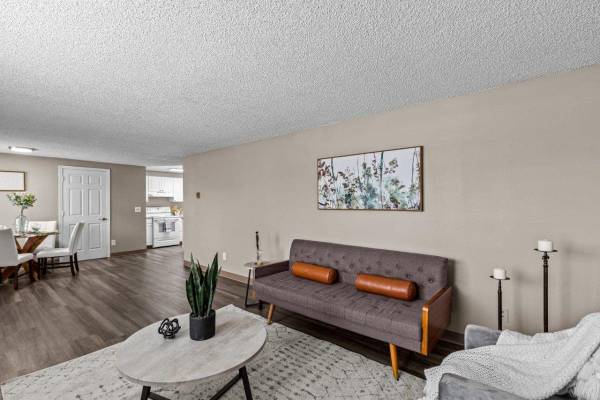 $1,650 / 3br - 1200ft2 - Three Bedroom 1.5 Bath - Fantastic Specials Running Now! Upgrades!63786991634563124