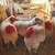 Awassi sheep fat tail rams 1 thumbnail