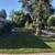 ARNULFO CANO Gardening Services (Best prices in the area) 4 thumbnail