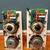 Tannoy iW62 in wall loud speakers rare audiophile 4 thumbnail