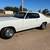 72 Monte Carlo 1 thumbnail