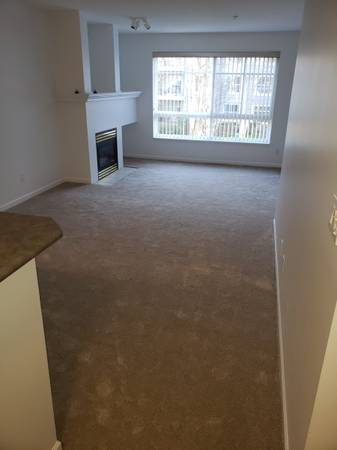 Spacious 1 Bed/1 bath Condo in the desired Steveston south 1