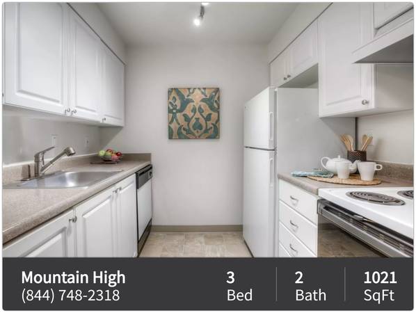 Affordable convenience at Mountain High! Washer & Dryer in unit 1